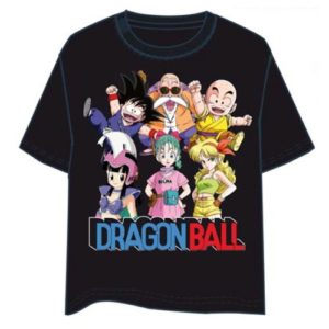 Camiseta Dragon Ball Mejores Amigos