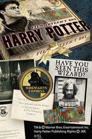 Cofre Artefacto Harry Potter