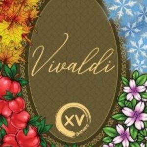 VIVALDI (INGLES)
