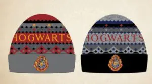 gorro adulto harry potter surtido